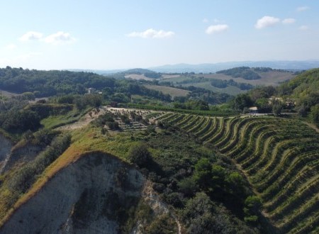 Dal mare all'entroterra Romagnolo - Bike Tour